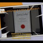 1966 Sears Excellence Award