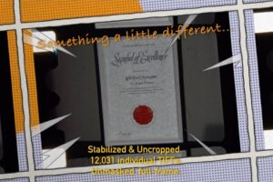 1966 Sears Excellence Award